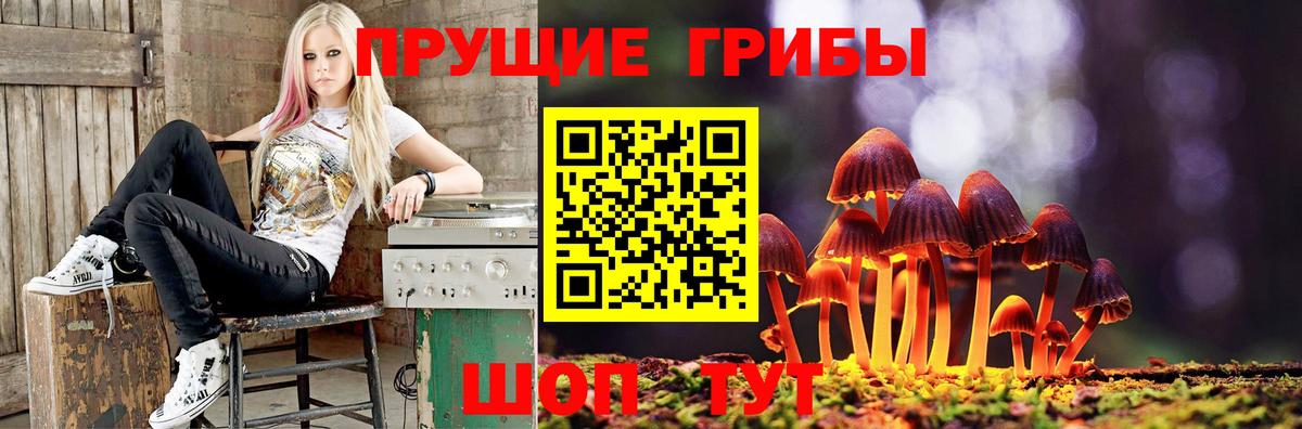 Галлюциногенные грибы мухоморы  Вход с VPN  Нягань 