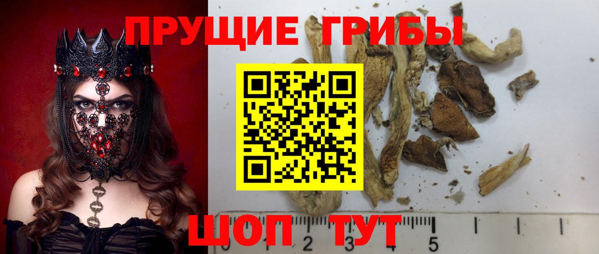 Галлюциногенные грибы MAGIC MUSHROOMS Нягань
